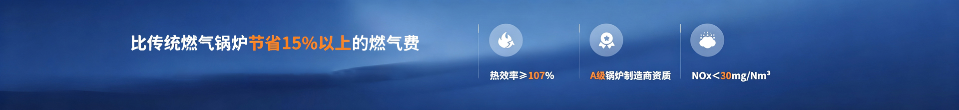 燃气/油锅炉